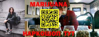 гидра Брянск