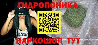 дмт Братск