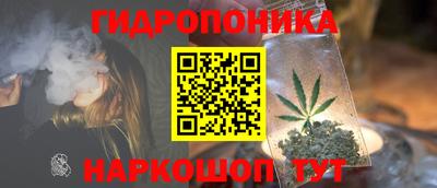 дмт Братск