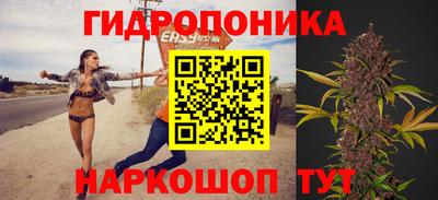 дмт Братск