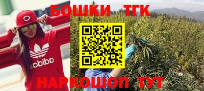 гидра Брянск