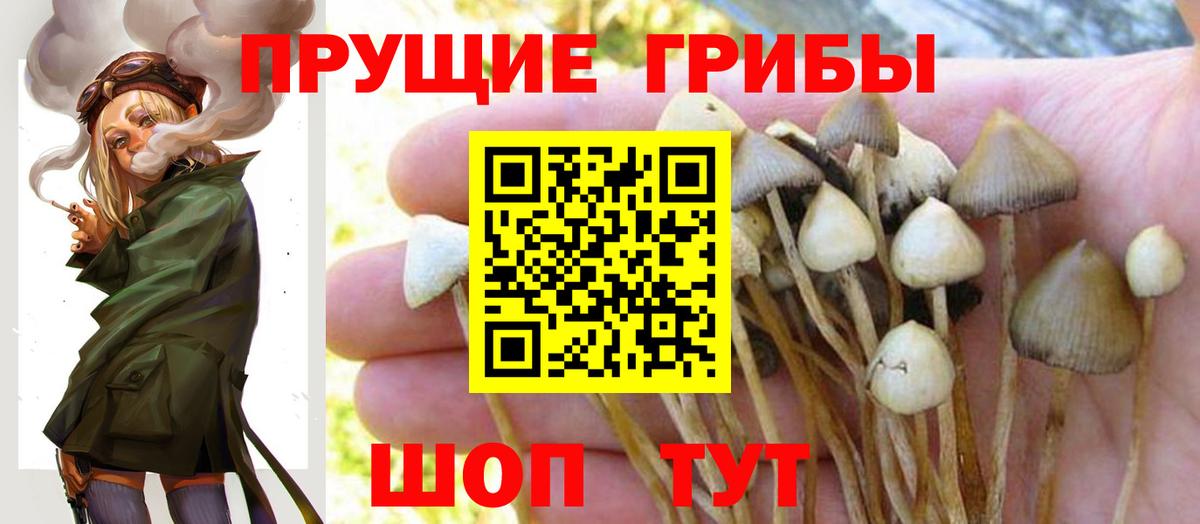 Галлюциногенные грибы Psilocybine cubensis  Вход с VPN  дарнет шоп  Нурлат 